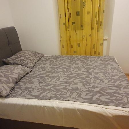 Apartment Kolega 扎达尔 外观 照片